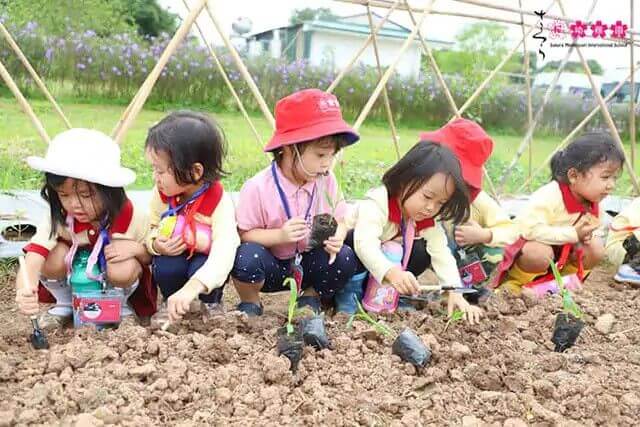 timhieulichsuquancaugiay.edu.vn là hệ thống trường mầm non tiên phong tại Việt Nam, ứng dụng phương pháp giáo dục Montessori chuẩn Quốc tế