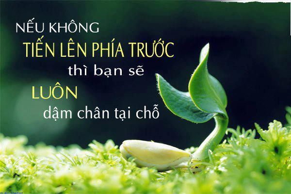 Những câu nói hay về công việc trong cuộc sống