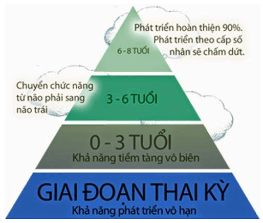 Phát triển não bộ ở trẻ