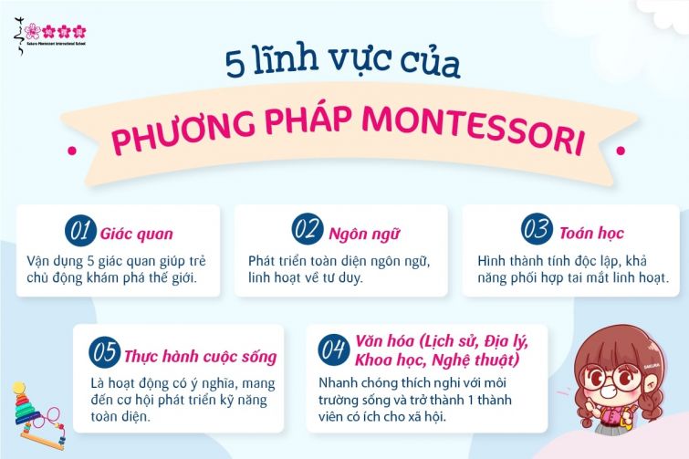 5 lĩnh vực giảng dạy Montessori