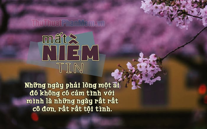 Bạn không thể tồn tại nếu đánh mất niềm tin